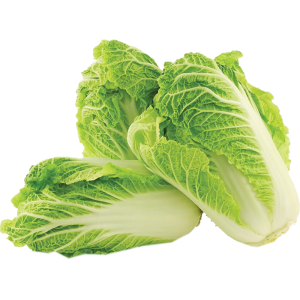 Kapusta Pekińska