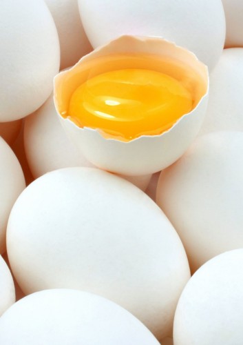 Projekt bez tytułu.jpg