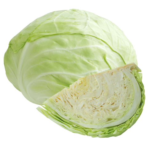 32504.png